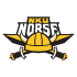 Norse logo